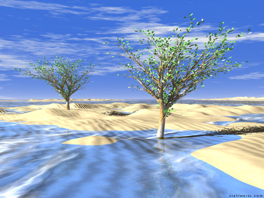 Frozen Desert Trees, desktop wallpaper