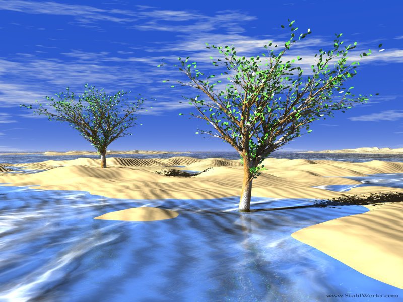 Frozen Desert Trees, Free Desktop Wallpaper, 800x600 resolution
