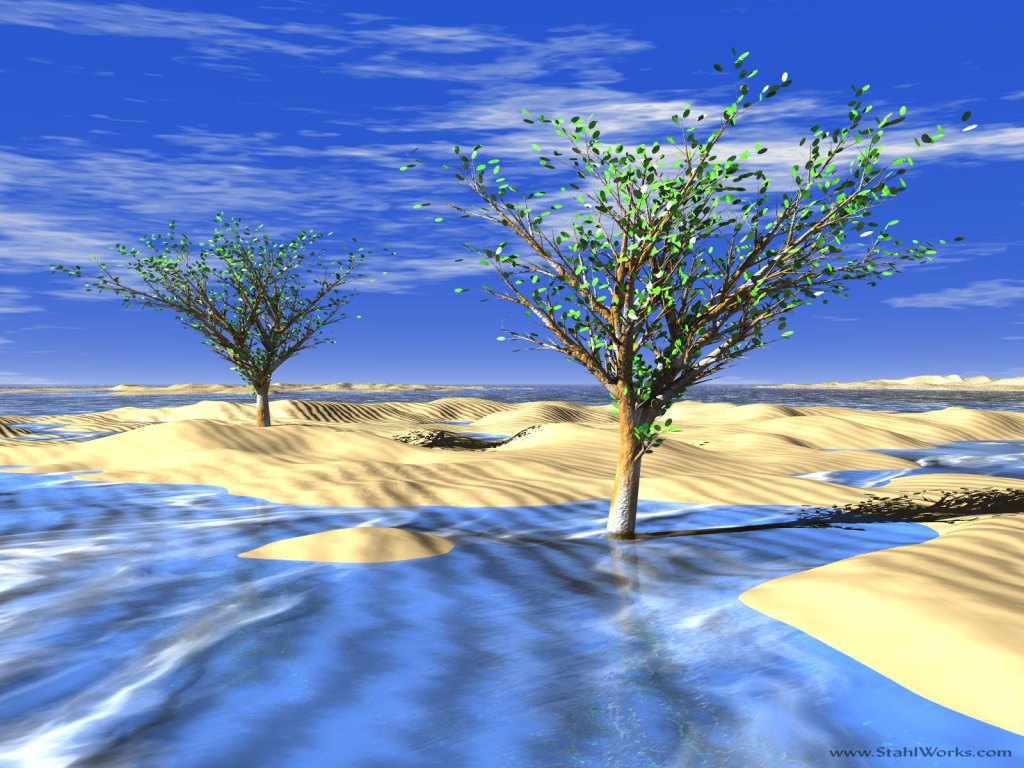 Frozen Desert Trees, Free Desktop Wallpaper, 1024x768 resolution
