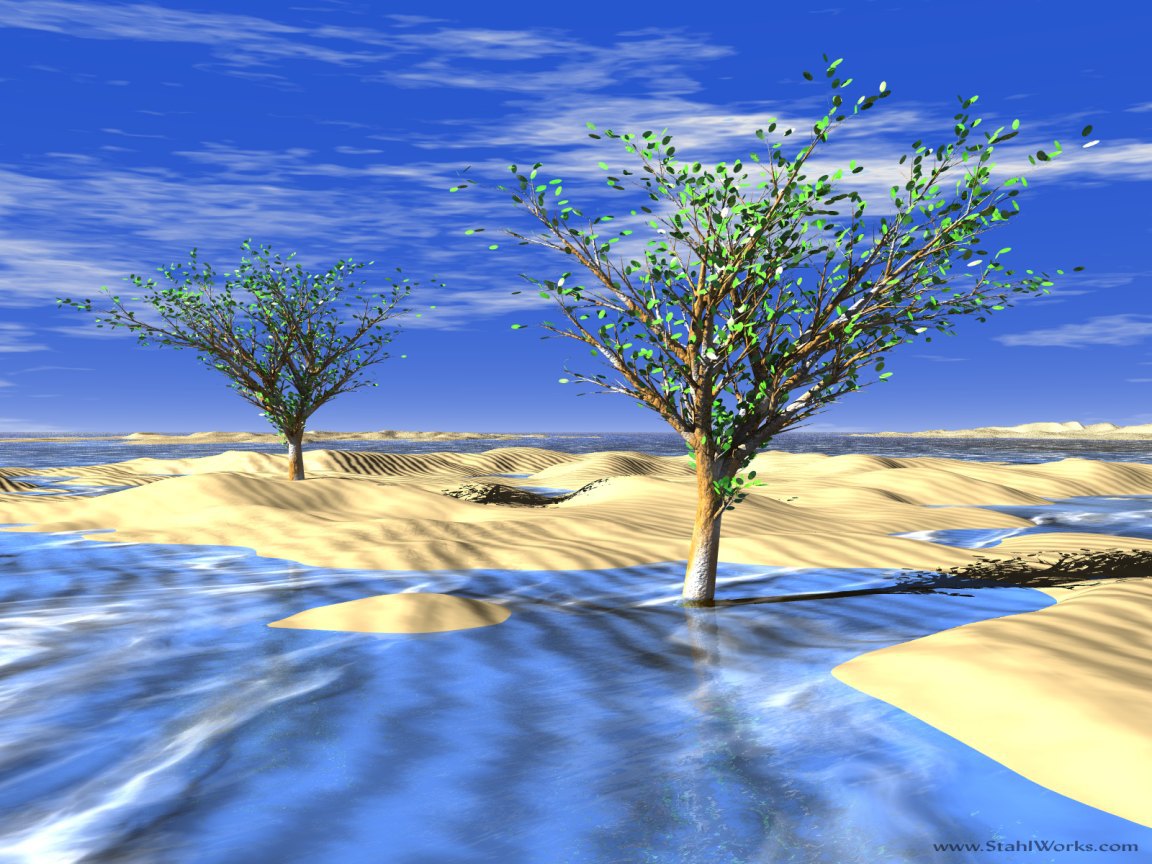Frozen Desert Trees, Free Desktop Wallpaper, 1152x864 resolution