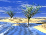 Frozen Desert Trees computer artwork