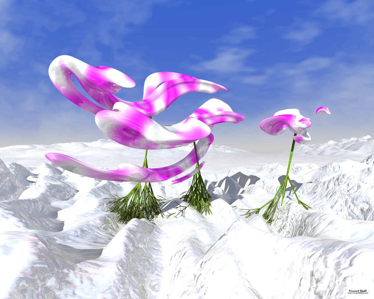 Orchids On Ice - Desktop wallpaper