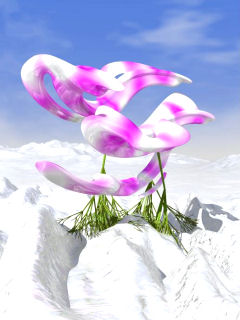 Ice Orchids mobile phone background 240x320