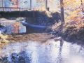 small bridge shallow water autumn