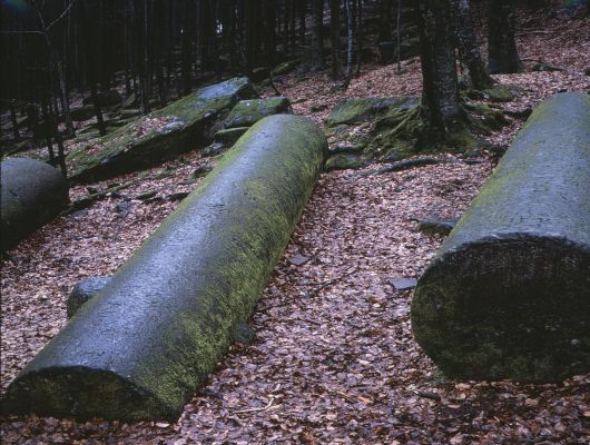 old pillars in a forest