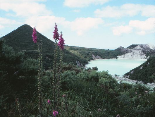 english china clay mountains blue lake purple flowers