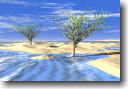 Frozen Desert Trees photoprint