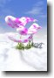 Orchids On Ice photoprint